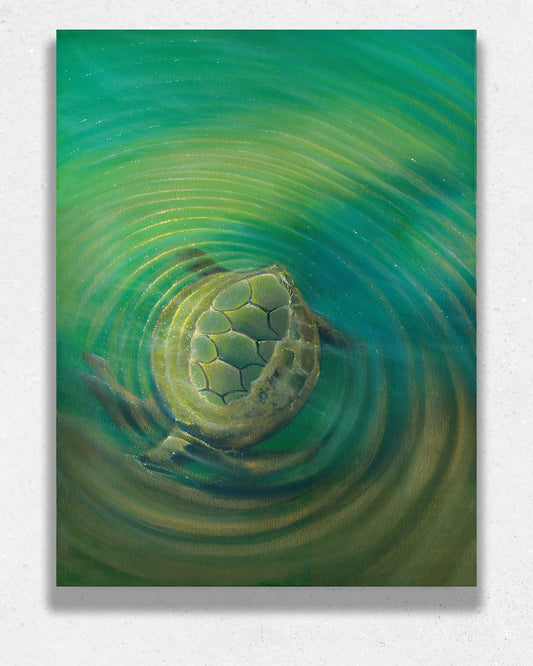 Seaside Turtle (Canvas & Fine Art Prints)