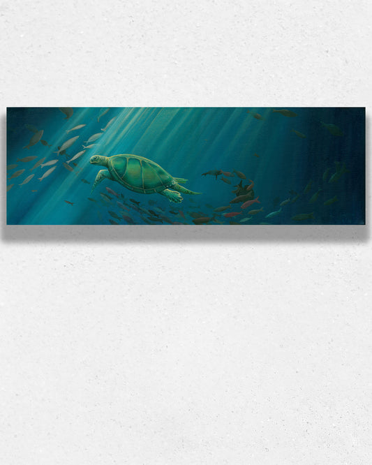 Undersea Turtle (Canvas & Fine Art Prints)