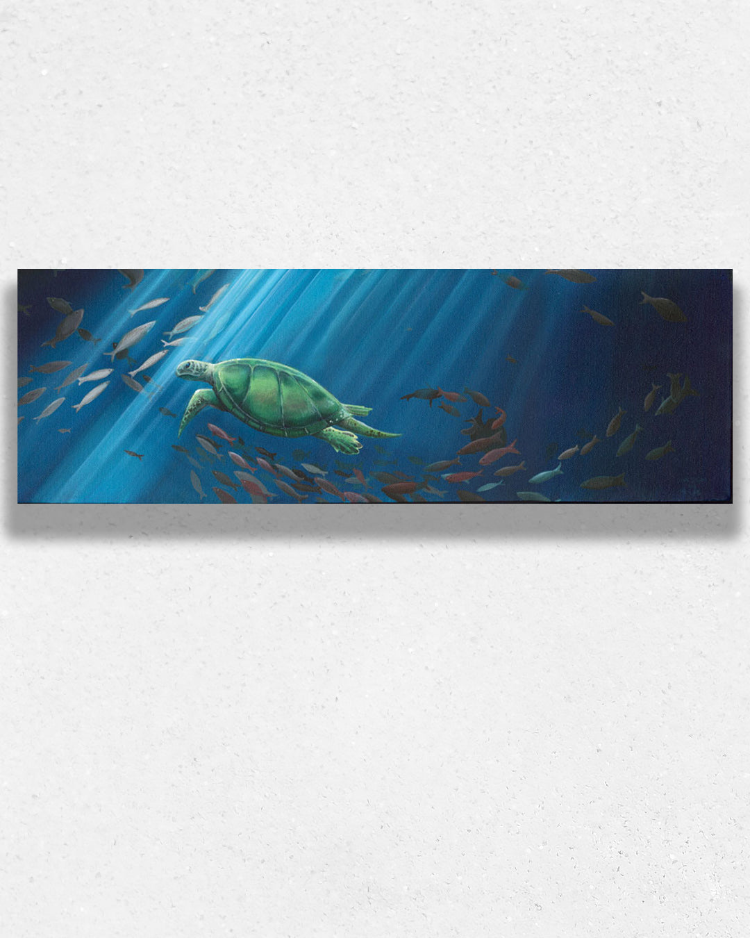 Undersea Turtle by Andrew Carson 