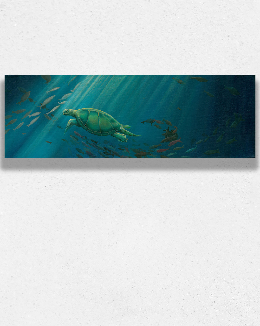 Undersea Turtle by Andrew Carson